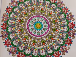 whatsapp bild 2024-07-17 um 18.20.16_5f471e68